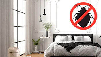 foto - Difesa Contro le Cimici dei Letti