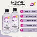 Flyer 5 GW IPA 99.9 2x1l