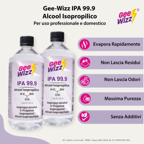 Flyer 5 GW IPA 99.9 2x1l